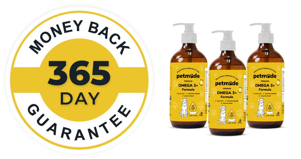 Omega 3+ Formula bottles